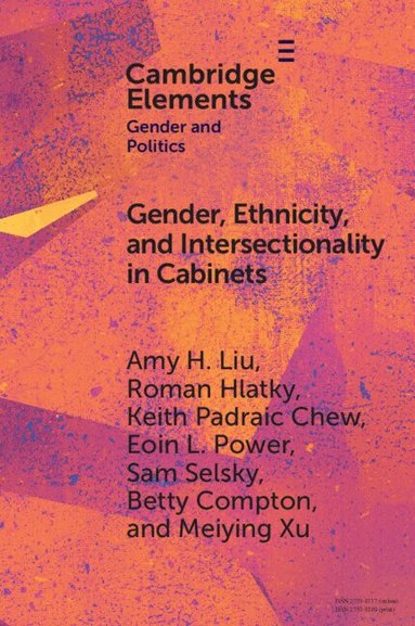 Amy H. Liu, Roman Hlatky, Keith Padraic Chew, Eoin L. Power, Sam Selsky, Betty Compton, Meiying Xu - Gender, Ethnicity, and Intersectionality in Cabinets, Häftad
