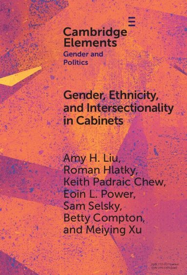 Amy H. Liu, Roman Hlatky, Keith Padraic Chew, Eoin L. Power, Sam Selsky, Betty Compton, Meiying Xu - Gender, Ethnicity, and Intersectionality in Cabinets, Inbunden