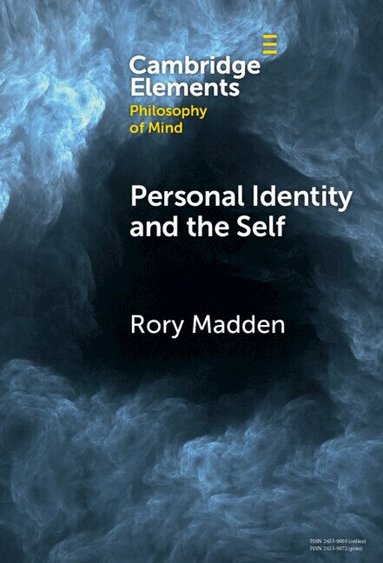 Rory Madden - Personal Identity and the Self, Inbunden