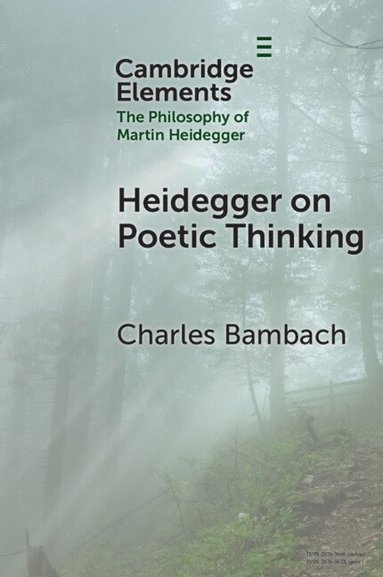 bokomslag Heidegger on Poetic Thinking