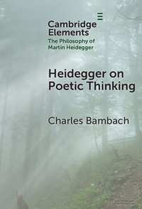 bokomslag Heidegger on Poetic Thinking