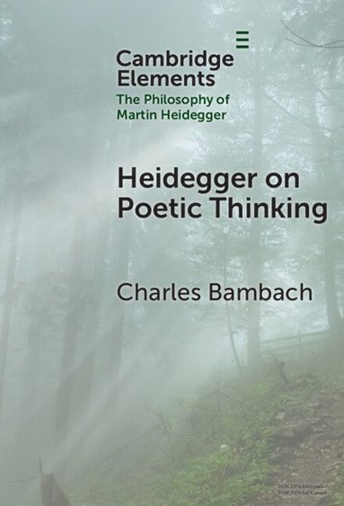 bokomslag Heidegger on Poetic Thinking