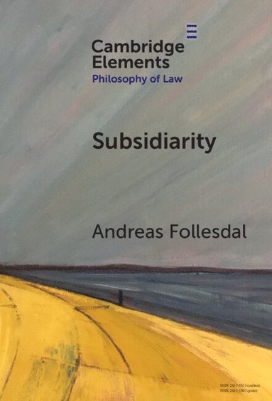 bokomslag Subsidiarity