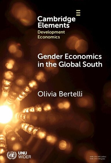 Olivia Bertelli - Gender Economics in the Global South, Inbunden