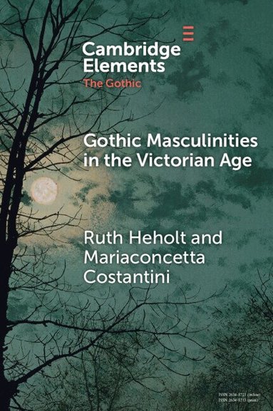 Ruth Heholt, Mariaconcetta Costantini - Gothic Masculinities in the Victorian Age, Häftad
