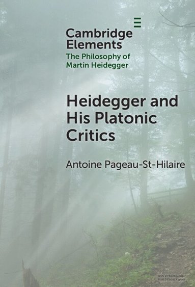 bokomslag Heidegger and His Platonic Critics