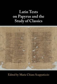 bokomslag Latin Texts on Papyrus and the Study of Classics