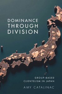 bokomslag Dominance Through Division