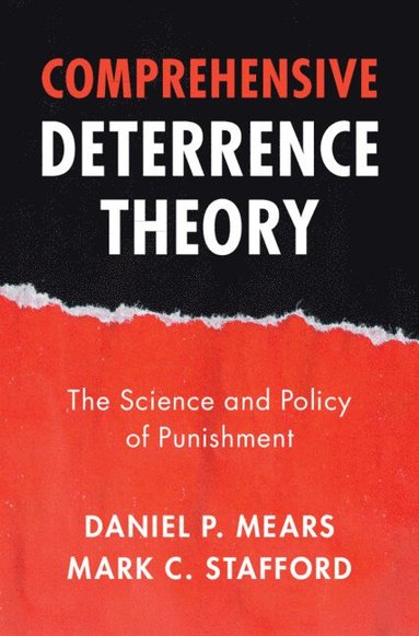 bokomslag Comprehensive Deterrence Theory