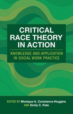 bokomslag Critical Race Theory in Action