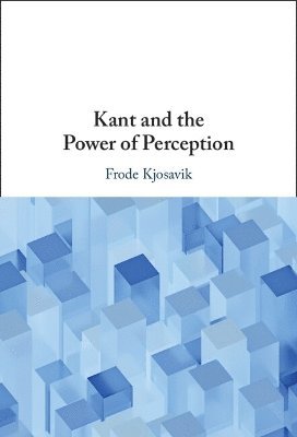 bokomslag Kant and the Power of Perception