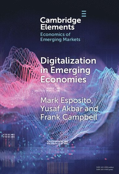 bokomslag Digitalization in Emerging Economies