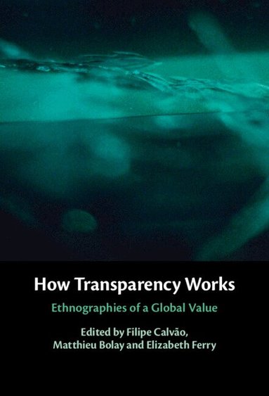 Filipe Calvão, Matthieu Bolay, Elizabeth Ferry - How Transparency Works, Inbunden