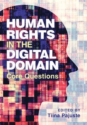Tiina Pajuste, Tiina (Tallinn University) Pajuste - Human Rights in the Digital Domain, Inbunden