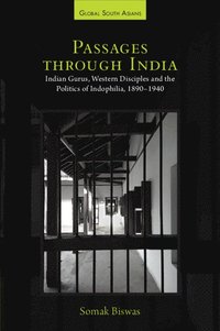 bokomslag Passages through India