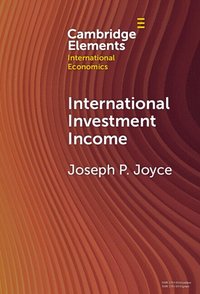 bokomslag International Investment Income