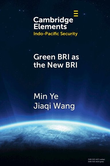 Min Ye, Jiaqi Wang - Green BRI as the New BRI, Häftad