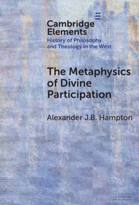 bokomslag The Metaphysics of Divine Participation