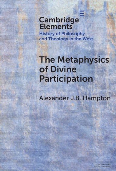 bokomslag The Metaphysics of Divine Participation