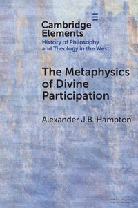 bokomslag The Metaphysics of Divine Participation