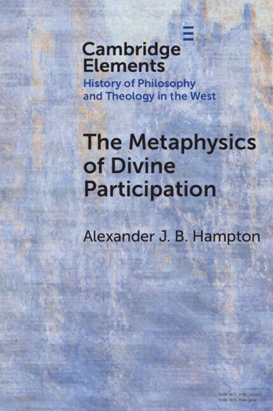 Alexander J. B. Hampton - The Metaphysics of Divine Participation, Häftad