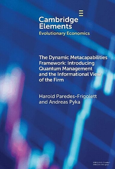 Harold Paredes-Frigolett, Andreas Pyka - The Dynamic Metacapabilities Framework, Inbunden