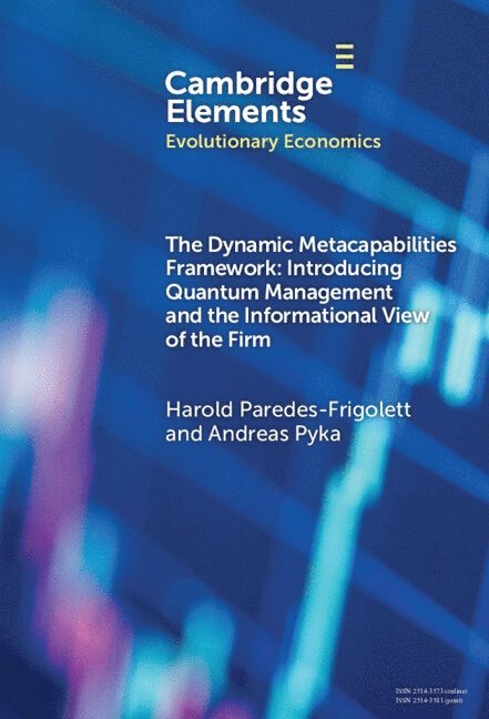 Harold Paredes-Frigolett, Andreas Pyka, Harold (Diego Portales University) Paredes-Frigolett, Andreas (University of Hohenheim) Pyka - Dynamic Metacapabilities Framework, Inbunden