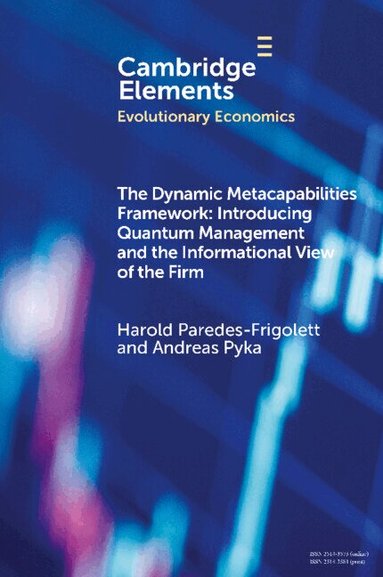 Harold Paredes-Frigolett, Andreas Pyka - The Dynamic Metacapabilities Framework, Häftad
