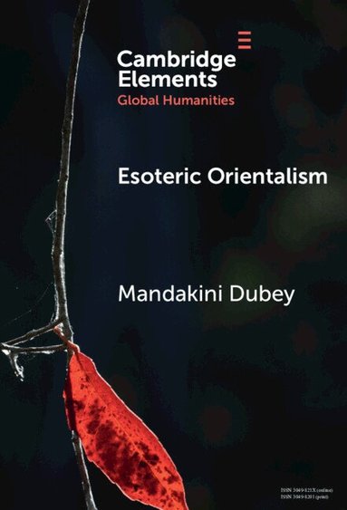 Mandakini Dubey - Esoteric Orientalism, Inbunden