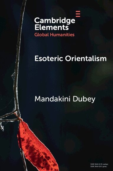 Mandakini Dubey - Esoteric Orientalism, Häftad