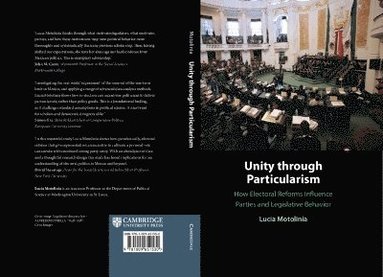 bokomslag Unity through Particularism