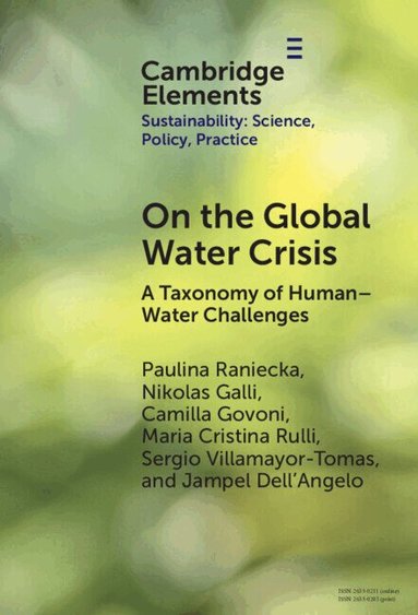Paulina Raniecka, Nikolas Galli, Camilla Govoni, Maria Cristina Rulli, Sergio Villamayor-Tomas, Jampel Dell'Angelo - On the Global Water Crisis, Inbunden