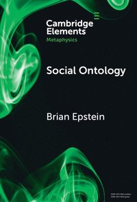 bokomslag Social Ontology