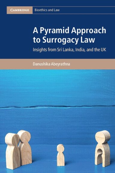 Danushika Abeyrathna - A Pyramid Approach to Surrogacy Law, Häftad