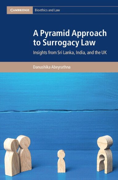 Danushika Abeyrathna - A Pyramid Approach to Surrogacy Law, Inbunden