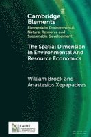 The Spatial Dimension In Environmental and Resource Economics