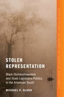 bokomslag Stolen Representation
