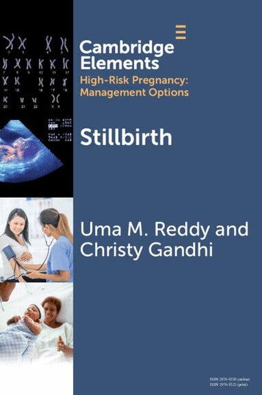 Uma M. Reddy, Christy Gandhi - Stillbirth, Häftad