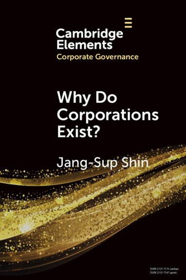 Jang-Sup Shin - Why Do Corporations Exist?, Häftad