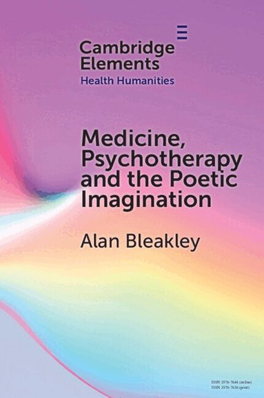 Alan Bleakley - Medicine, Psychotherapy and the Poetic Imagination, Häftad
