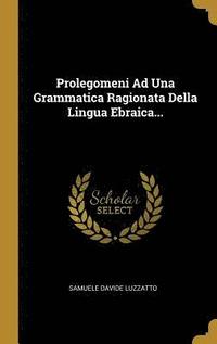 bokomslag Prolegomeni Ad Una Grammatica Ragionata Della Lingua Ebraica...