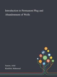 bokomslag Introduction to Permanent Plug and Abandonment of Wells
