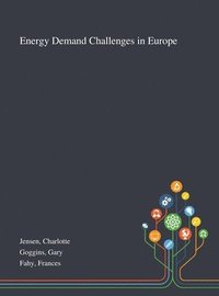 bokomslag Energy Demand Challenges in Europe