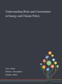 bokomslag Understanding Risks and Uncertainties in Energy and Climate Policy