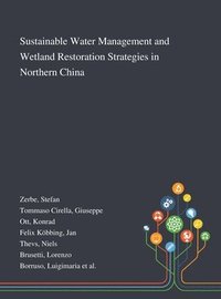 bokomslag Sustainable Water Management and Wetland Restoration Strategies in Northern China