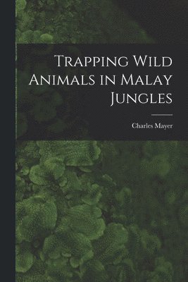 bokomslag Trapping Wild Animals in Malay Jungles