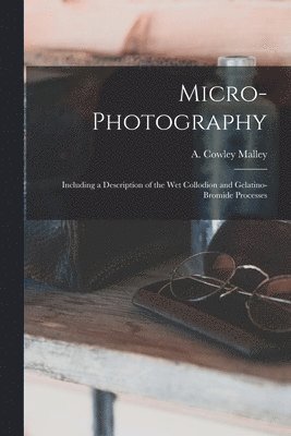 Micro-photography 1