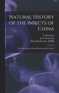 bokomslag Natural History of the Insects of China