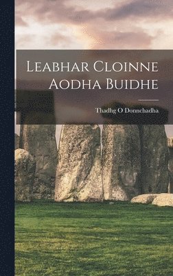 Leabhar Cloinne Aodha Buidhe 1