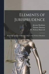 bokomslag Elements of Jurisprudence